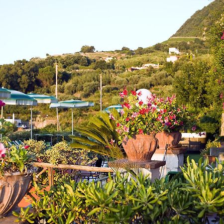 Hotel Poggio Del Sole Форио Ресторан фото