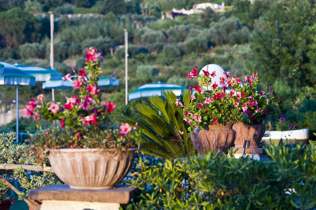 Hotel Poggio Del Sole Форио Экстерьер фото