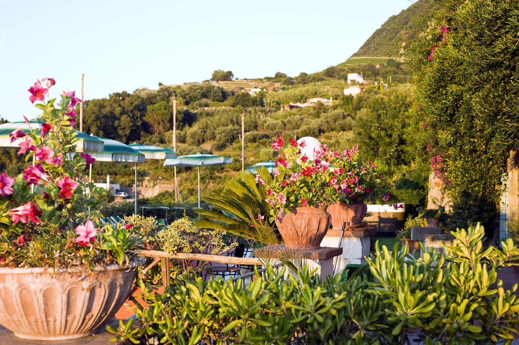 Hotel Poggio Del Sole Форио Ресторан фото