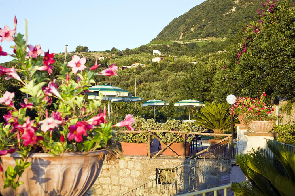 Hotel Poggio Del Sole Форио Экстерьер фото